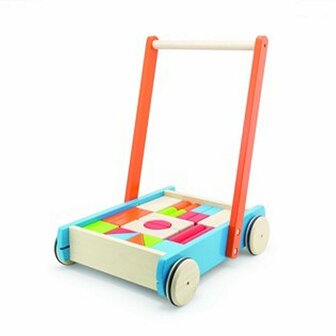 Pintoy Baby Walker Duwwagen met Blokken