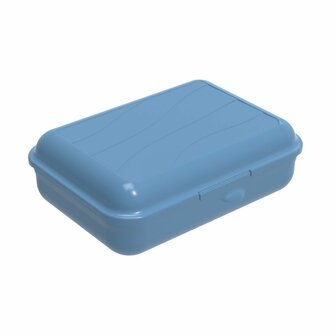 Rotho Fun Lunchbox 1.25L Horizon Blauw