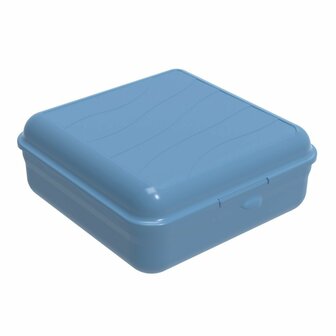 Rotho Fun Lunchbox Vierkant 2.35L Horizon Blauw