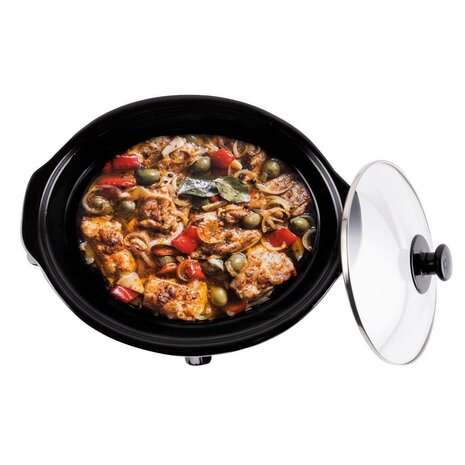 Alpina Slowcooker 3.5L 240W RVS/Zwart